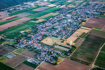 From the northeast in the district Niederlustadt in Lustadt in the state Rhineland-Palatinate, Germany