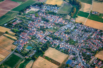 From the northeast in Knittelsheim in the state Rhineland-Palatinate, Germany