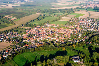From the west in the district Billigheim in Billigheim-Ingenheim in the state Rhineland-Palatinate, Germany
