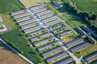 Former greenhouses with PV system and cycling club Kolesarski klub perutnina Ptuj in Ptuj in the state Slovenia, Slovenia