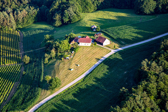 Small farmstead in Destrnik in the state Slovenia, Slovenia