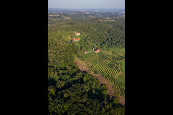 Aerial view of Church of Župnijska cerkev sv. Marije Vnebovzete and Café Huda Liza above the Vurberg vineyards in Duplek in the state Slovenia, Slovenia