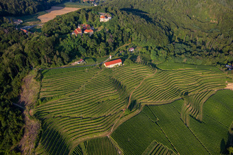 Church of Župnijska cerkev sv. Marije Vnebovzete and Café Huda Liza above the Vurberg vineyards in Duplek in the state Slovenia, Slovenia from above