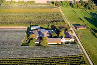 Aerial view of Lindenhof: Gensheimer fruit and asparagus farm in Steinweiler in the state Rhineland-Palatinate, Germany