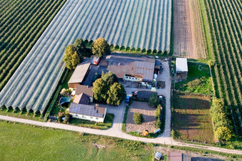 Lindenhof: Gensheimer fruit and asparagus farm in Steinweiler in the state Rhineland-Palatinate, Germany out of the air