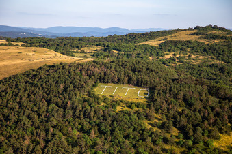 TITO marking in the forest in Nova Gorica in the state Slovenia, Slovenia