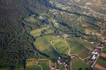 Vineyards in Nova Gorica in the state Slovenia, Slovenia
