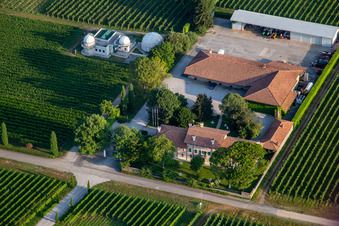 Tenuta Borgo Conventi SRL and Farra d'Isonzo Observatory Osservatorio Astronomico CCAF in Farra d’Isonzo in the state Gorizia, Italy
