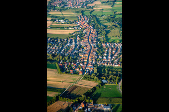 From the west in Freckenfeld in the state Rhineland-Palatinate, Germany
