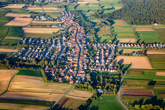 Village view in the evening from the west in Freckenfeld in the state Rhineland-Palatinate, Germany