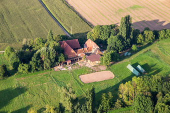Farm with horses at Erlenbach in Oberhausen in the state Rhineland-Palatinate, Germany