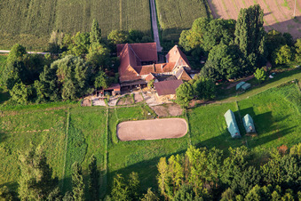 Aerial view of Farm with horses at Erlenbach in Oberhausen in the state Rhineland-Palatinate, Germany