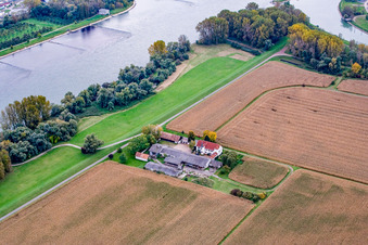 Aerial photograpy of Ludwigsau Estate in the district Maximiliansau in Wörth am Rhein in the state Rhineland-Palatinate, Germany