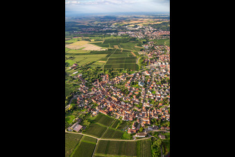 From the north in the district Rechtenbach in Schweigen-Rechtenbach in the state Rhineland-Palatinate, Germany