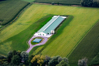New poultry farming in Trimbach in the state Bas-Rhin, France