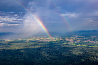 Rainbow over the Bienwald in the district Schaidt in Wörth am Rhein in the state Rhineland-Palatinate, Germany