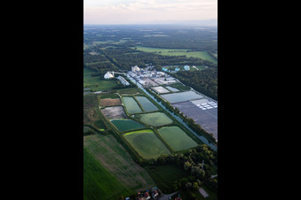 Aerial view of Sucrerie d'ERSTEIN / Cristal Union in Erstein in the state Bas-Rhin, France