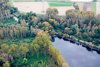 Maximilansau, Old Rhine in the district Maximiliansau in Wörth am Rhein in the state Rhineland-Palatinate, Germany