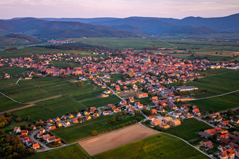 Aerial view of In the morning from the southeast in Epfig in the state Bas-Rhin, France