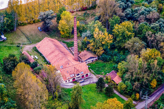 Frohnau am Altrhein in Neuburg am Rhein in the state Rhineland-Palatinate, Germany