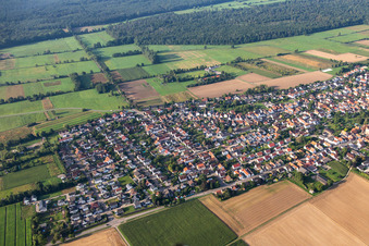 Aerial view of From the north in Minfeld in the state Rhineland-Palatinate, Germany