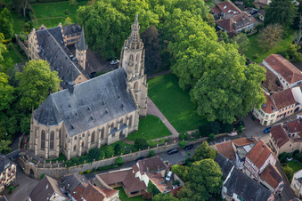 Aerial photograpy of Castle Church Meisenheim in Meisenheim in the state Rhineland-Palatinate, Germany