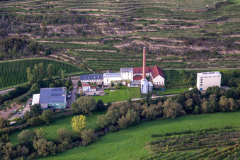 Aerial view of CJD Wolfstein, Niedermühle branch and Klostermühle Odernheim KG winery in Odernheim am Glan in the state Rhineland-Palatinate, Germany