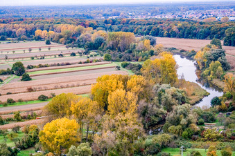 Aerial view of Neuburg Old Rhine in Neuburg am Rhein in the state Rhineland-Palatinate, Germany
