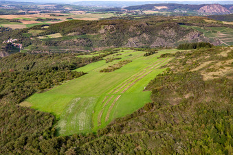 Biotopes on the Gangelsberg in Duchroth in the state Rhineland-Palatinate, Germany