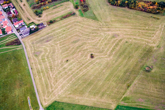 Agricultural field rows in the district Buechelberg in Woerth am Rhein in the state Rhineland-Palatinate