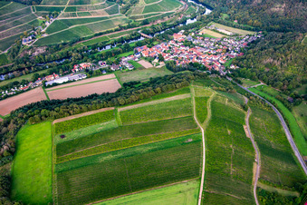 Vineyards on the Gangelsberg in Oberhausen an der Nahe in the state Rhineland-Palatinate, Germany