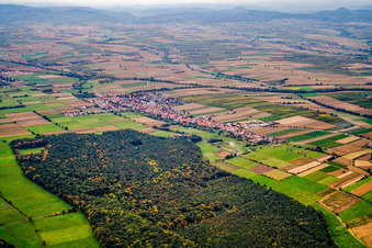 From the southwest in Freckenfeld in the state Rhineland-Palatinate, Germany