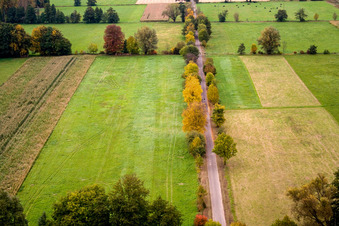 Aerial view of Otterbachtal in Minfeld in the state Rhineland-Palatinate, Germany