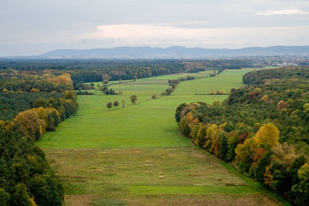 Aerial view of Otterbachtal in Freckenfeld in the state Rhineland-Palatinate, Germany