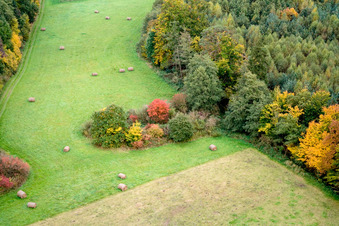 Otterbachtal in Freckenfeld in the state Rhineland-Palatinate, Germany from above