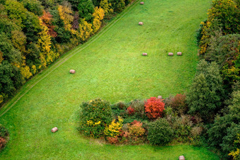 Otterbachtal in Freckenfeld in the state Rhineland-Palatinate, Germany out of the air