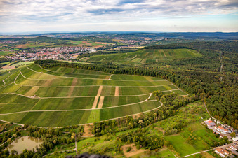 Großbottwar vineyard in the district Kleinbottwar in Steinheim an der Murr in the state Baden-Wuerttemberg, Germany