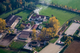 Kaiserhof Stud in the district Legelshurst in Willstätt in the state Baden-Wuerttemberg, Germany