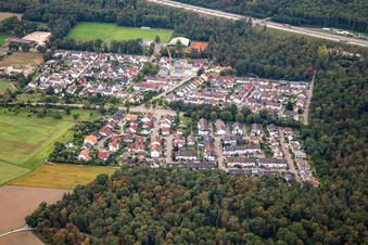 Forest Bridge in Weingarten in the state Baden-Wuerttemberg, Germany