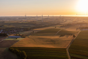 Freckenfeld wind farm from the west at sunrise in Vollmersweiler in the state Rhineland-Palatinate, Germany