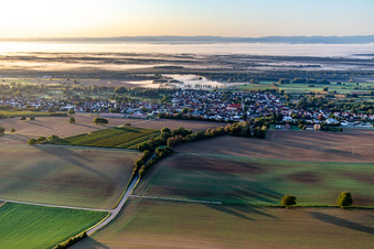 Aerial view of In front of the Bienwald in the morning mist in Steinfeld in the state Rhineland-Palatinate, Germany