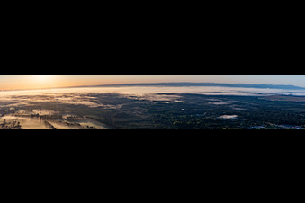 Panorama of the Bienwald at sunrise in Kapsweyer in the state Rhineland-Palatinate, Germany