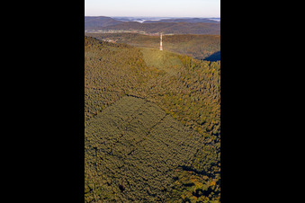 Transmission tower on the Col de Pigeonnier in Wissembourg in the state Bas-Rhin, France