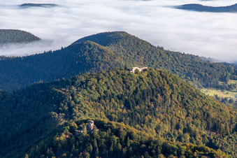 Aerial view of Château de Lœwenstein and Wegelnburg in Wingen in the state Bas-Rhin, France