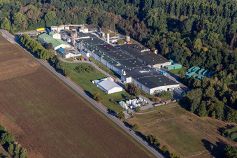 Sitek Insulation in the district Altenstadt in Wissembourg in the state Bas-Rhin, France from the plane