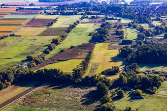 Billigheimer Bruch nature reserve from the west in the district Mühlhofen in Billigheim-Ingenheim in the state Rhineland-Palatinate, Germany