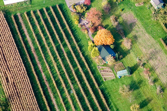 Aerial photograpy of Runzweg in the district Urloffen in Appenweier in the state Baden-Wuerttemberg, Germany