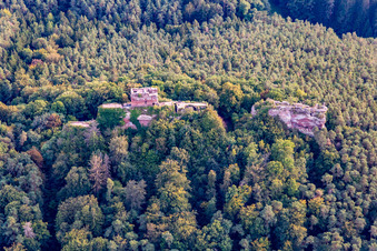 Drachenfels Castle in Busenberg in the state Rhineland-Palatinate, Germany
