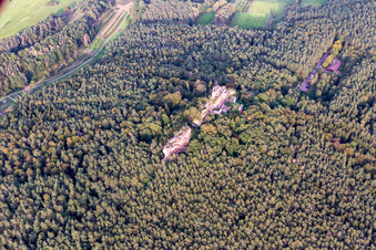 Drachenfels Castle in Busenberg in the state Rhineland-Palatinate, Germany from above