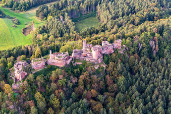Aerial photograpy of Altdahn castle massif with the castle ruins of Grafendahn and Tanstein in Dahn in the state Rhineland-Palatinate, Germany